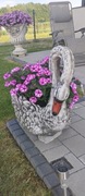 Donica ogrodowa z białego cementu-łabądź 