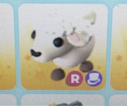 Lamb ride i inne adopt me roblox