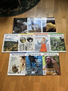 Zestaw 10x Gazeta Archelogia