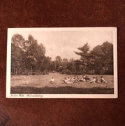 Przedwojenna pocztówka Lubień Wielki park