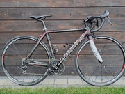 *ROWER SZOSOWY* FOCUS CAYO CARBONOWA RAMA