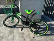 OKAZJA!!!Rowerek 20 cali boony baby zielony, niebieski , czerwony 379zl 