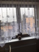 Firanka misie dla dzieci! 150x300