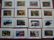 Umm Al Qiwain MNH Fauna Zwierzęta