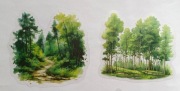 naklejki 20szt drzewa las zieleń scrapbooking