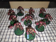 Warhammer 40k Space marines Tartaros terminator x10