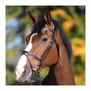 Kavalkade ogłowie Ella EQUKAMELA ogłowia