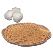 Soplówka jeżowata suszona mielona 25 g