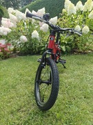 Kubikes 16" L 5.7kg jak woom lub frog