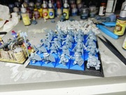 Krasnoludy Krzyżowcy 