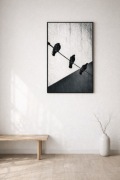 Obraz czarno-biała fotografia ptaki minimalizm nowoczesny 50x70