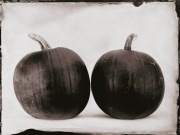 Ambrotypia - Hell's Kitchen 009