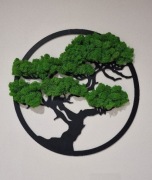 Obraz z mchu chrobotka reniferowego