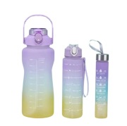 ZESTAW 3 BUTELEK NA WODĘ BIDONY 0.3L 1L 2L