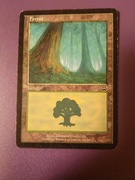 Forest (Mercadian Masques - Magic the Gathering)