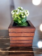 Donica drewniana "Selene" 25 cm – Elegancja i trwałość