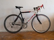 Rower szosowy Basso REEF