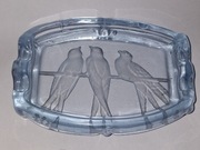 Hortensja popielniczka ptaki