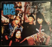 MR. BIG Dancin' Right into the Flame