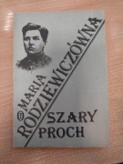 MARIA RODZIEWICZÓWNA SZARY PROCH