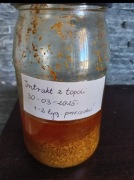 Intrakt z pąków topoli na maść 