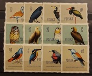 Fi: 1062 - 1073** Ptaki chronione w Polsce.