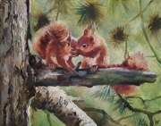 A.Giża WIEWIÓRKI obraz olejny 30/24 cm WIEWIÓRKA DZIKA NATURA