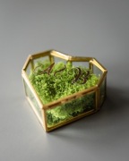 Szkatułka na obrączki - serce