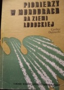 Pionierzy w mundurach na ziemi lubuskiej Osekowski 
