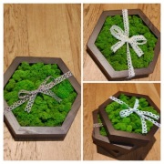 Ramka heksagon z chrobotkiem 