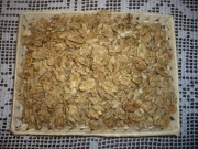 10 KG - ORZECHY WŁOSKIE ŁUSKANE - JASNE SMACZNE 2025