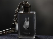 Tonkinese Cat brelok sześcienny Świecący