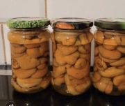 Rydze marynowane! Rarytas!