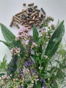 Zioła dla koni granulaty