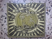 The Butlers – Fight Like A Lion (CD)