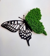 Motyl z mchu chroboteka.Obraz z mchem. Prezent. Dekoracje wnętrz 