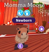 Momma Moose! |NAJTANIEJ SZYBKO DUŻO POLECEŃ!|Adopt Me|Roblox