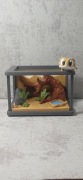 Gekon Tolek w terrarium brelok figurka