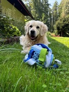 Kula węchowa z jęzorami 20 cm Potwory i spółka