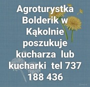 Szukam  osoby do pracy 