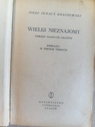 Wielki nieznajomy obrazy naszych czasów - Józef Ignacy Kraszewski (72)