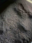 Sprzedam łubin gorzki tegoroczny