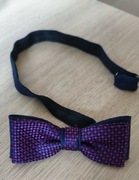 Kolorowa muszka elegancka