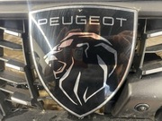 Emblemat  ,znaczek atrapy,grila   lift rok 2024