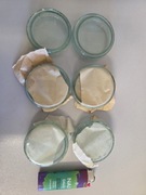 6 małych szalek petriego. Komplet 