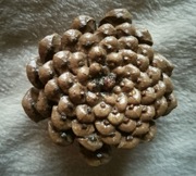 Spinka - Ozdobna klamra do włosów nr 19