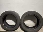 Champiro WinterPro 205/55/16