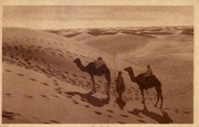 Afryka Północna, Sahara, beduini ok. 1910