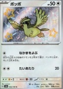 Pidgey (sv4a 304)