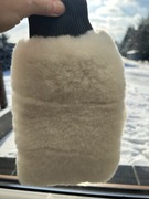 Rękawica z owczej wełny Scholl Concepts